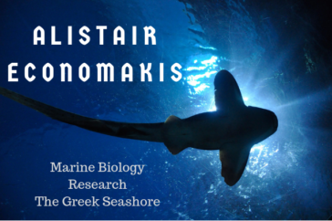 Alistair Economakis Travels to Greek Seashore for Advanced Research
