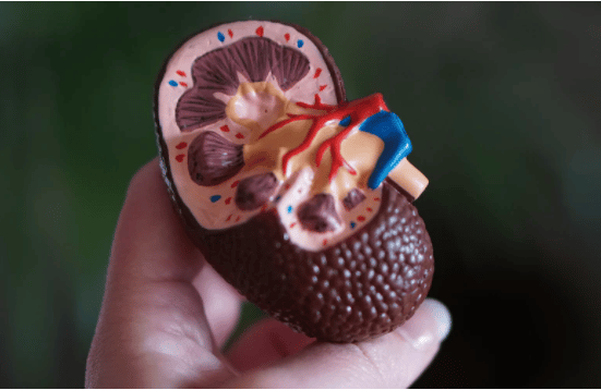 Dean Buescher kidney