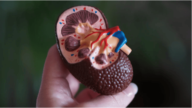 Dean Buescher kidney