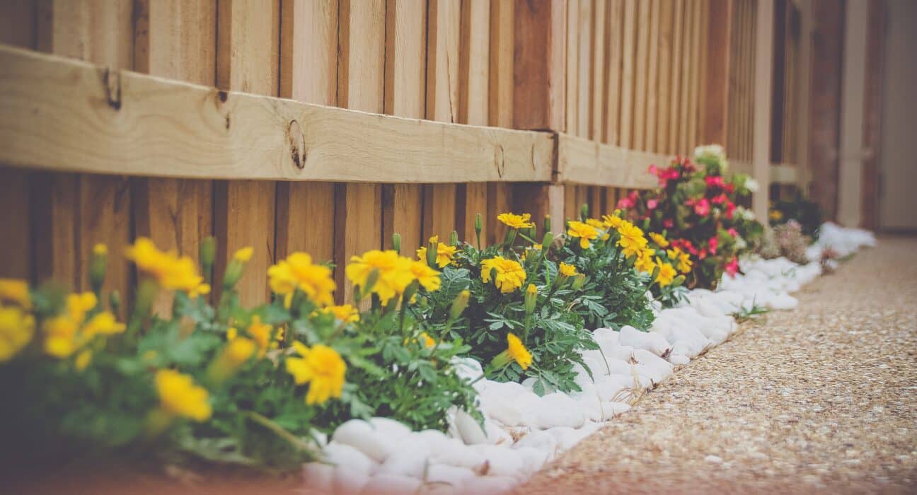 John Bohonyi Landscaping Trends