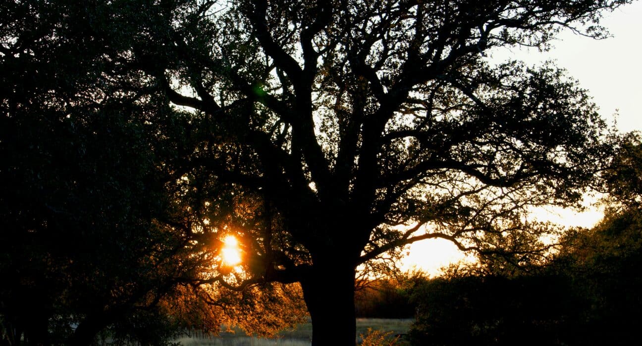 Republic Grand Ranch Acreage Homesites