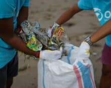 Norberto Madrigal Recycling Clean Ups