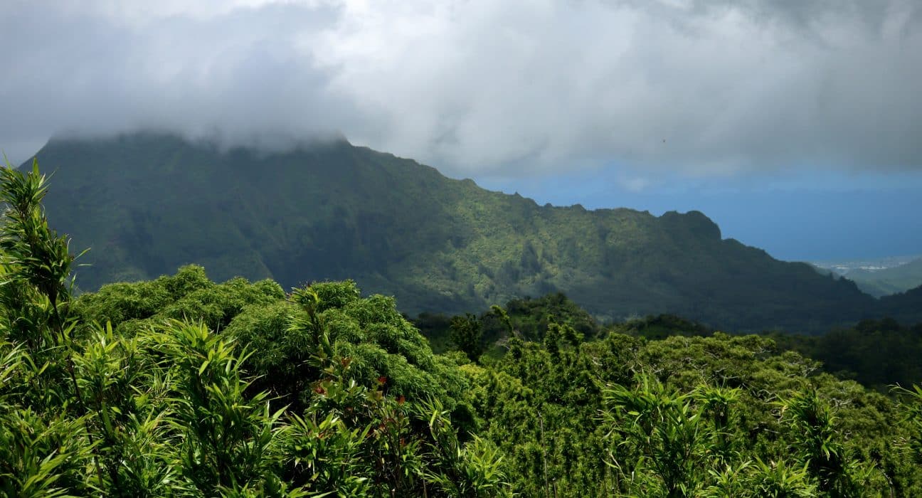Stacey Slamka Hawaii Hiking