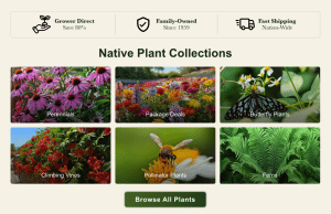 TN Nursery Native Plant Collections