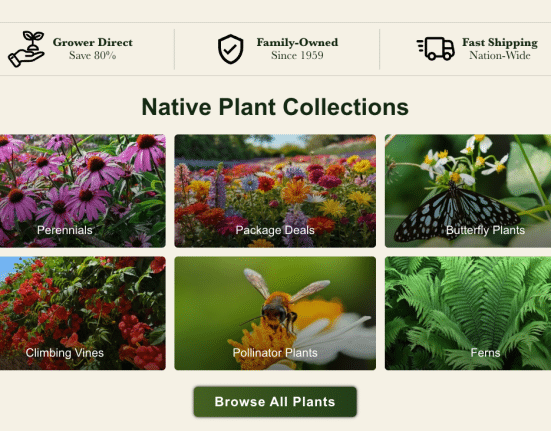 TN Nursery Native Plant Collections